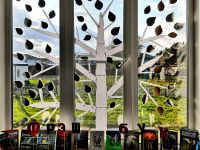 Каштановская библиотека