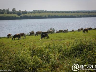 Две семейные фермы из Якутии выиграли гранты на развитие агротуризма