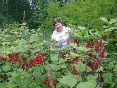 Многодетная мать Светлана Тарабукина: Каждый ребенок – это своя история