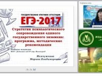 Стратегии психологического сопровождения единого государственного экзамена: программа, методические рекомендации