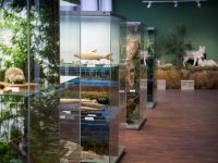 Национальный музей Республики Марий Эл им. Т. Евсеева