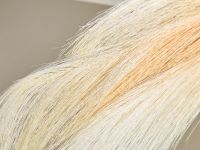 Ветвь Благословение/Bless