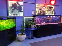 Кинотеатр «Волга-Волга»