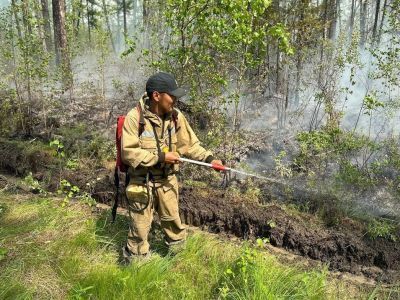 Один лесной пожар ликвидирован
