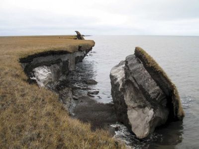 Не губить природу и садить деревья. Ученые рассказали, как сохранить вечную мерзлоту в Якутии