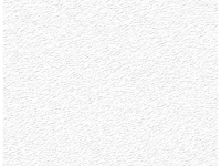 Бумага карточная тисненая Лилия Холдинг "Скорлупа" А2