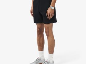 Мужские хлопковые шорты Lacoste