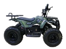 Электроквадроцикл MOTAX Grizlik X16 New E1000
