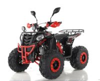 Квадроцикл RAPTOR R8