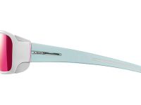 Очки Monterosa 401