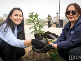 В День окончания Второй мировой войны в Якутске высадили 80 кустов сирени