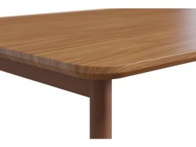 Письменный стол Дорис-1 120x60 Коричневый/Терракотовый