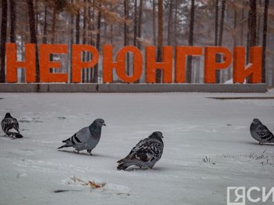 В Нерюнгри устранят недостатки благоустройства сквера