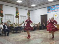 Весело-Вознесеновский дом культуры