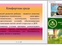 Организация комфортной и безопасной среды для ребенка в условиях реализации ФГОС