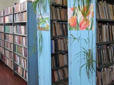 Верхнечершилинская сельская библиотека