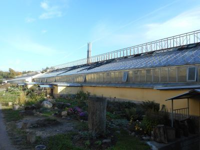 Оранжереи (три)