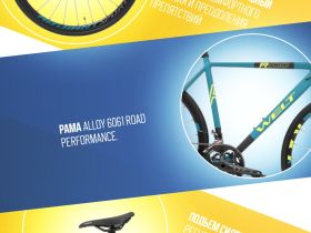 Шоссейный велосипед Welt R100 Disc, год 2024, цвет Синий-Зеленый, ростовка 20