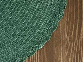 Набор плейсматов Miraculous Festival, зеленый