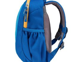Deuter Рюкзак Deuter Pico 5, цвет Розовый-Красный