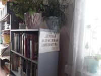 Ношинская сельская библиотека – филиал № 19