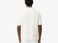 Мужской свитер Lacoste