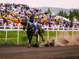 Победу на конных скачках на призы главы Якутии одержал скакун Атомик Бой