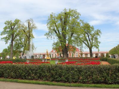 Ансамбль Монплезира