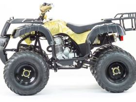 Квадроцикл MOTOLAND 250 Adventure (2021 Г.)