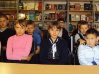 Шильдинская модельная библиотека