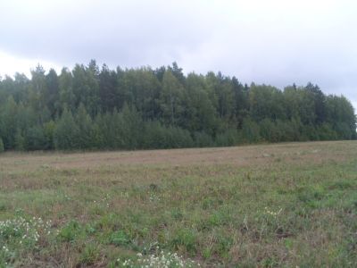 Священная роща