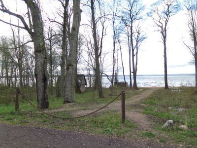Усадьба П.Л.Блока (дяди А.А.Блока). Парк