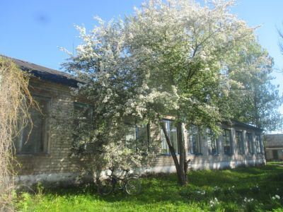 Родовская сельская библиотека