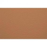 Бумага для пастели Fabriano "Tiziano" 70x100 см 160 г №06 миндаль
