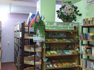 Городская библиотека микрорайона РосНИИТиМ