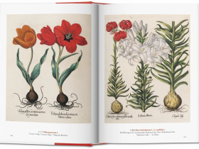 Книга Taschen "Garden Eden"