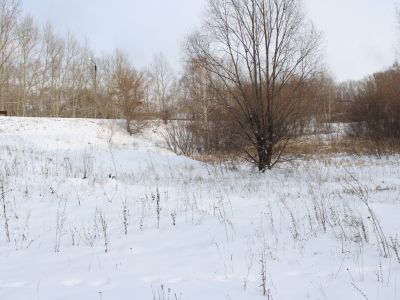 Валы от гидротехнического сооружения, возведенного Фроловым Козьмой Дмитриевичем