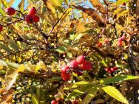 Дом культуры с. Вал