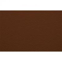 Бумага для пастели Fabriano "Тiziano" 21x29,7 см 160 г №09 кофейный