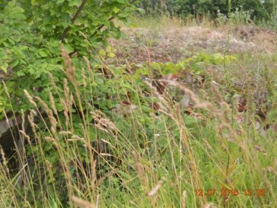 Хозяйственный корпус (руинирован)