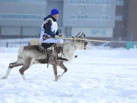 В Якутске после семилетнего перерыва проходят Игры оленеводов