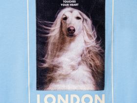 Фуфайка трикотажная для девочек (футболка с длинными рукавами)