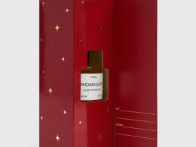 Ароматический диффузор «Мандарин и сосна», 100 мл, Мультицвет