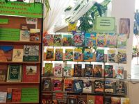 Большепикинская библиотека