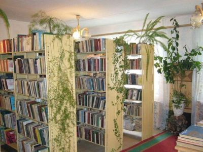 Озерская сельская библиотека-филиал