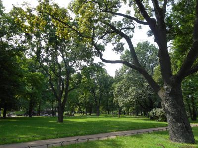 Александровский парк (парк им. В.И.Ленина)