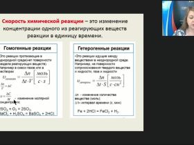 Международный вебинар "Скорость химической реакции. Химическое равновесие"