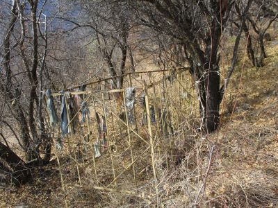 Могила Саид-Дибира, богослова-алима