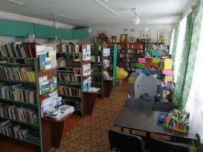 Пежемская сельская библиотека