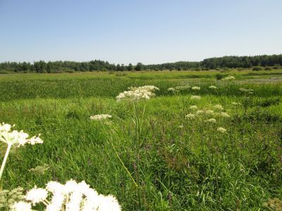 Памятное место, где в 1812 г. генералом М.А.Милорадовичем были разгромлены войска Богарнэ и Даву